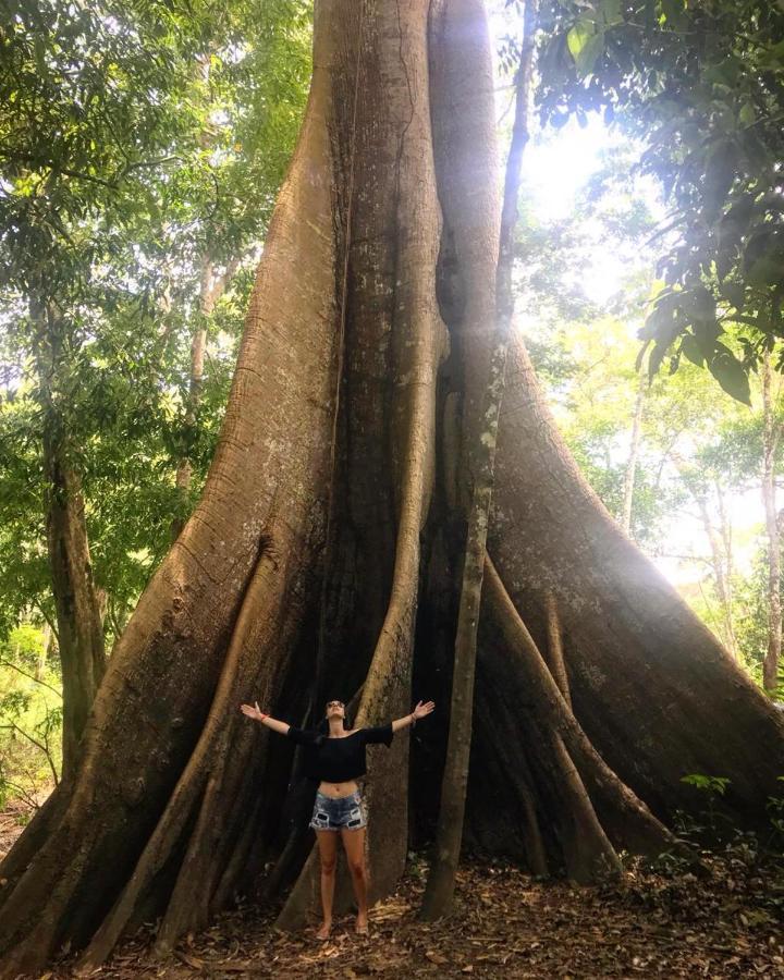 Amazonia Lodge Exxperience Paricatuba Eksteriør bilde