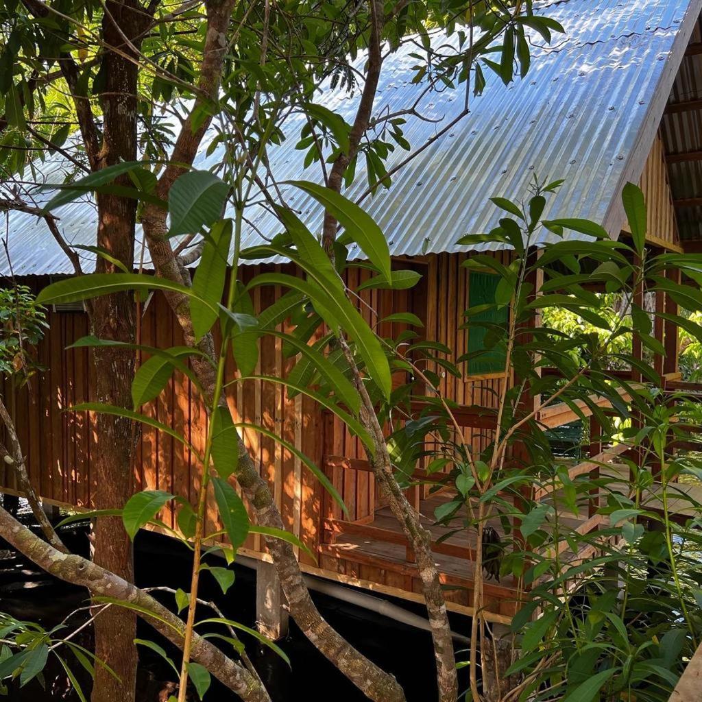 Amazonia Lodge Exxperience Paricatuba Eksteriør bilde