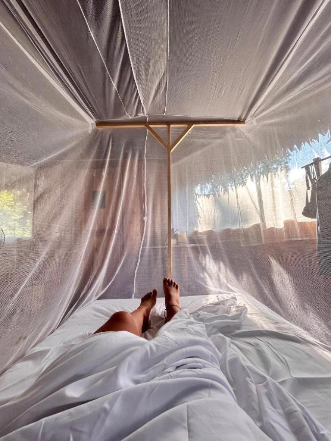 Amazonia Lodge Exxperience Paricatuba Eksteriør bilde